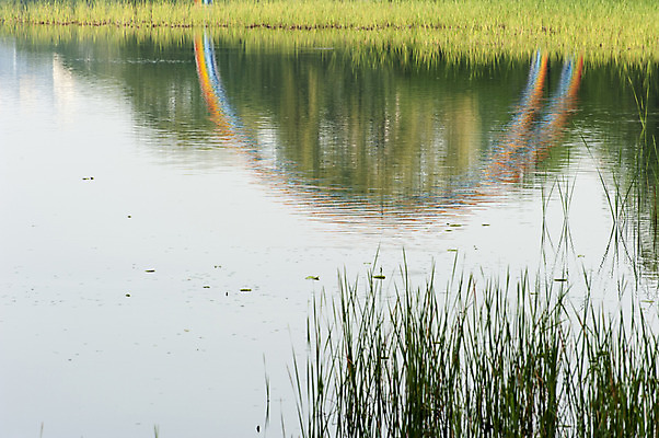 포토 JPG 주간 호수 무지개 한국 사람없음 야외 반사 봄 풀 호수공원 국내포토 자연요소 식물 계절 공원 아시아 파일형식