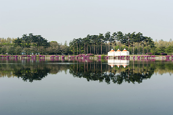 포토 JPG 주간 나무 공원 호수 한국 풍경 사람없음 야외 반사 호수공원 국내포토 자연요소 식물 공공시설 아시아 파일형식