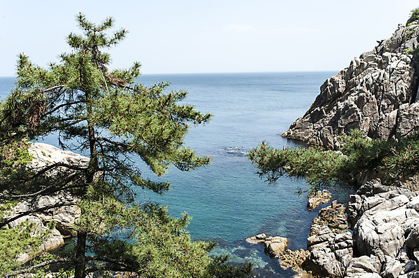 포토 JPG 주간 바다 하늘 한국 풍경 사람없음 야외 바위 소나무 강원도 하조대 국내포토 자연요소 나무 아시아 돌_바위 양양 파일형식