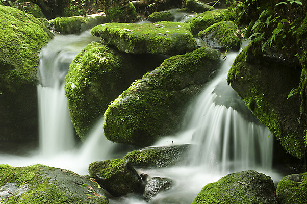 포토 JPG 주간 한국 이끼 사람없음 야외 계곡 폭포 바위 만항재 국내포토 자연요소 아시아 자연 돌_바위 강원도 정선 파일형식