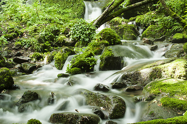 포토 JPG 주간 이끼 사람없음 야외 계곡 바위 급류 만항재 국내포토 자연요소 돌_바위 강원도 정선 파일형식