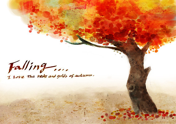 주간 PSD 나무 계절 백그라운드 단풍 낙엽 일러스트 한그루 풍경 사람없음 야외 가을풍경 가을 가을배경 국내일러스트 자연요소 식물 1 잎 파일형식 가을_계절