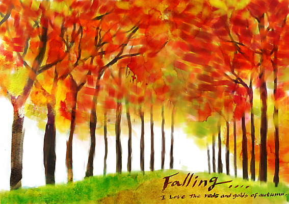 주간 PSD 나무 계절 백그라운드 단풍 낙엽 일러스트 풍경 사람없음 야외 가을풍경 가을 가로수 가을배경 국내일러스트 자연요소 식물 잎 파일형식 가을_계절