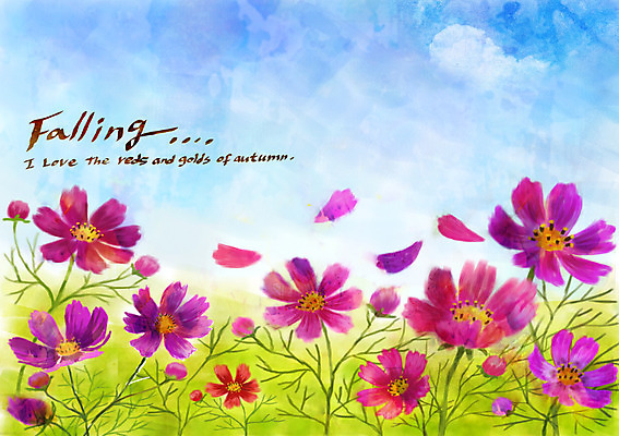 주간 PSD 계절 꽃잎 백그라운드 단풍 일러스트 풍경 사람없음 야외 가을풍경 가을 코스모스 가을배경 국내일러스트 자연요소 꽃 잎 파일형식 가을_계절