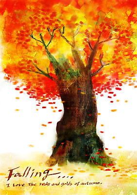 주간 PSD 나무 계절 백그라운드 단풍 낙엽 일러스트 한그루 풍경 사람없음 야외 가을풍경 가을 가을배경 국내일러스트 자연요소 식물 1 잎 파일형식 가을_계절