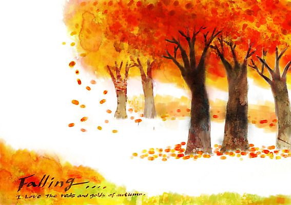 주간 PSD 나무 계절 백그라운드 단풍 낙엽 일러스트 풍경 사람없음 야외 가을풍경 가을 가을배경 국내일러스트 자연요소 식물 잎 파일형식 가을_계절