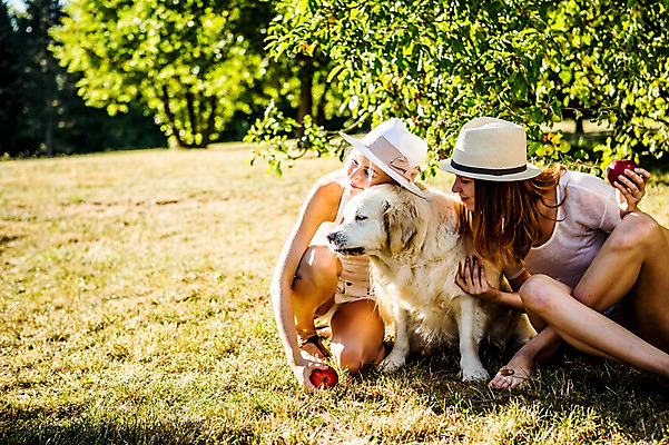 포토 JPG 주간 백인 한마리 해외 공원 여자 유럽 여유 휴식 앉기 잔디 20대 야외 두명 앞모습 개 쪼리 체코 대형견 반려 챙모자 성인여자만 청년여자만 국내포토 자연요소 서양인 식물 모자_잡화 1 공공시설 감정 나라 뷰포인트 컨셉 포유류 모션 사람 청년 샌들 여자만 청년만 성인만 파일형식