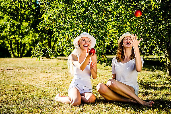 포토 JPG 주간 전신 백인 해외 공원 여자 유럽 맨발 휴식 웃음 앉기 잔디 20대 야외 두명 앞모습 우정 던지기 사과 상큼 체코 챙모자 성인여자만 청년여자만 국내포토 자연요소 서양인 식물 모자_잡화 공공시설 나라 뷰포인트 컨셉 과일 모션 발 표정 사람 청년 친구 여자만 청년만 성인만 파일형식