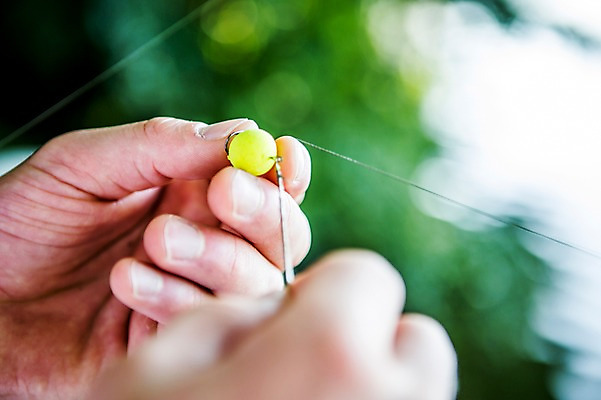 포토 JPG 주간 해외 손 남자 유럽 낚시 한명 야외 아웃포커스 신체부위 양손 체코 낚시찌 국내포토 자연요소 1 나라 레저 촬영기법 사람 낚시용품 파일형식