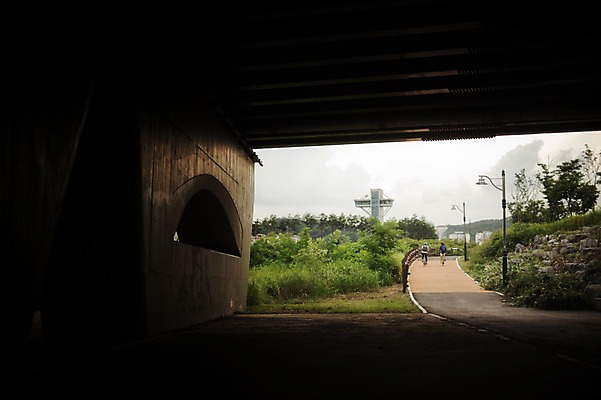 포토 JPG 주간 전신 여자 남자 20대 성인 야외 두명 뒷모습 한국인 승차 출근 퇴근 사이클링 라이딩 미니벨로 자전거도로 탄천 성인만 국내포토 자연요소 뷰포인트 모션 사람 동양인 청년 강 자전거 육상스포츠 출퇴근 전용도로 파일형식
