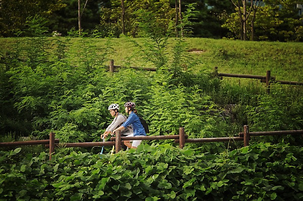 포토 JPG 주간 여자 남자 20대 성인 야외 두명 옆모습 한국인 승차 출근 퇴근 사이클링 라이딩 미니벨로 탄천 성인만 국내포토 자연요소 뷰포인트 모션 사람 동양인 청년 강 자전거 육상스포츠 출퇴근 파일형식
