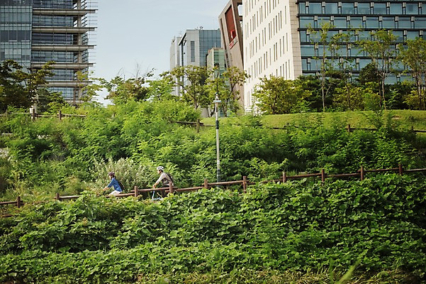 포토 JPG 주간 여자 남자 20대 성인 야외 두명 옆모습 한국인 승차 출근 퇴근 사이클링 라이딩 미니벨로 탄천 성인만 국내포토 자연요소 뷰포인트 모션 사람 동양인 청년 강 자전거 육상스포츠 출퇴근 파일형식