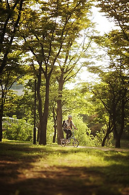 포토 JPG 주간 전신 남자 한명 20대 야외 한국인 승차 출근 퇴근 사이클링 라이딩 미니벨로 자전거도로 탄천 남자만 성인남자만 청년남자만 성인남자한명만 국내포토 자연요소 1 모션 사람 동양인 청년 강 자전거 육상스포츠 출퇴근 전용도로 남자한명만 청년만 성인만 파일형식