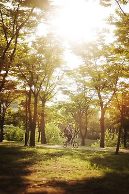 포토 JPG 주간 전신 남자 한명 20대 야외 한국인 승차 출근 퇴근 사이클링 라이딩 미니벨로 자전거도로 탄천 남자만 성인남자만 청년남자만 성인남자한명만 국내포토 자연요소 1 모션 사람 동양인 청년 강 자전거 육상스포츠 출퇴근 전용도로 남자한명만 청년만 성인만 파일형식