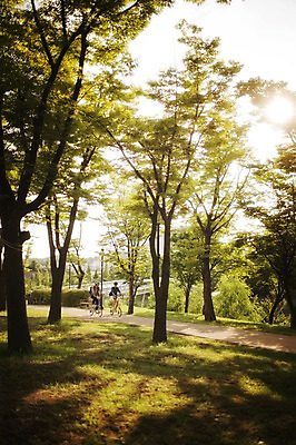포토 JPG 주간 전신 여자 남자 20대 성인 야외 두명 한국인 승차 출근 퇴근 사이클링 라이딩 미니벨로 자전거도로 탄천 성인만 국내포토 자연요소 모션 사람 동양인 청년 강 자전거 육상스포츠 출퇴근 전용도로 파일형식