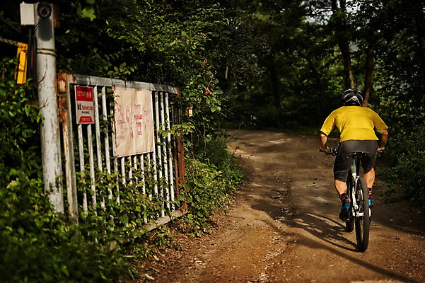 포토 JPG 주간 전신 남자 한명 20대 야외 뒷모습 한국인 승차 사이클링 라이딩 비포장도로 산악자전거 양평 유명산 남자만 성인남자만 청년남자만 성인남자한명만 국내포토 자연요소 1 도로 뷰포인트 모션 산 사람 동양인 청년 자전거 육상스포츠 경기도 남자한명만 청년만 성인만 파일형식