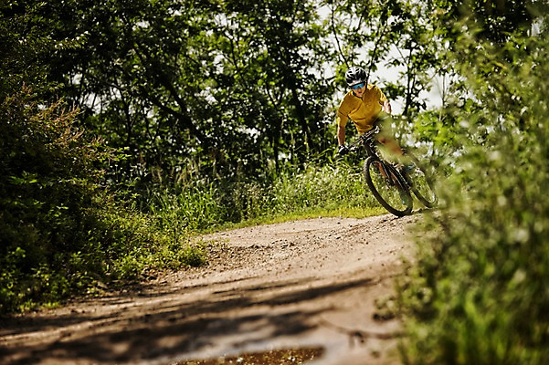 포토 JPG 주간 전신 남자 한명 20대 야외 앞모습 한국인 승차 사이클링 라이딩 비포장도로 산악자전거 양평 유명산 남자만 성인남자만 청년남자만 성인남자한명만 국내포토 자연요소 1 도로 뷰포인트 모션 산 사람 동양인 청년 자전거 육상스포츠 경기도 남자한명만 청년만 성인만 파일형식