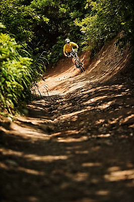 포토 JPG 주간 전신 남자 한명 20대 야외 앞모습 한국인 승차 사이클링 라이딩 비포장도로 산악자전거 양평 유명산 남자만 성인남자만 청년남자만 성인남자한명만 국내포토 자연요소 1 도로 뷰포인트 모션 산 사람 동양인 청년 자전거 육상스포츠 경기도 남자한명만 청년만 성인만 파일형식