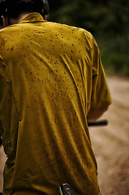 포토 JPG 주간 남자 아웃도어 한명 상반신 20대 야외 뒷모습 아웃포커스 한국인 얼룩 사이클링 라이딩 양평 저지 남자만 성인남자만 청년남자만 성인남자한명만 국내포토 자연요소 1 뷰포인트 촬영기법 사람 동양인 청년 육상스포츠 경기도 남자한명만 청년만 성인만 파일형식