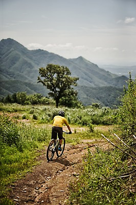 포토 JPG 주간 전신 남자 한명 20대 야외 뒷모습 한국인 승차 사이클링 라이딩 비포장도로 산악자전거 양평 유명산 남자만 성인남자만 청년남자만 성인남자한명만 국내포토 자연요소 1 도로 뷰포인트 모션 산 사람 동양인 청년 자전거 육상스포츠 경기도 남자한명만 청년만 성인만 파일형식