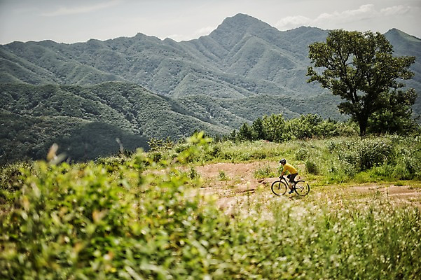 포토 JPG 주간 전신 남자 한명 20대 야외 옆모습 한국인 승차 사이클링 라이딩 비포장도로 산악자전거 양평 유명산 남자만 성인남자만 청년남자만 성인남자한명만 국내포토 자연요소 1 도로 뷰포인트 모션 산 사람 동양인 청년 자전거 육상스포츠 경기도 남자한명만 청년만 성인만 파일형식