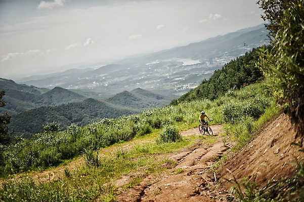 포토 JPG 주간 전신 남자 한명 20대 야외 앞모습 한국인 승차 사이클링 라이딩 비포장도로 산악자전거 양평 유명산 남자만 성인남자만 청년남자만 성인남자한명만 국내포토 자연요소 1 도로 뷰포인트 모션 산 사람 동양인 청년 자전거 육상스포츠 경기도 남자한명만 청년만 성인만 파일형식