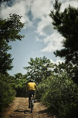 포토 JPG 주간 전신 남자 한명 20대 야외 뒷모습 한국인 승차 사이클링 라이딩 비포장도로 산악자전거 양평 유명산 남자만 성인남자만 청년남자만 성인남자한명만 국내포토 자연요소 1 도로 뷰포인트 모션 산 사람 동양인 청년 자전거 육상스포츠 경기도 남자한명만 청년만 성인만 파일형식