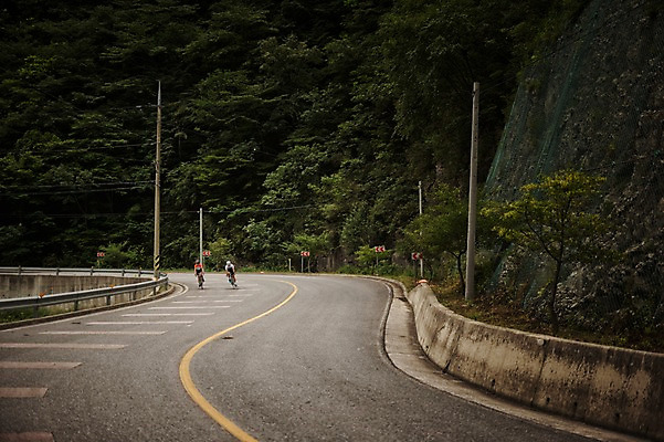 포토 JPG 주간 여자 남자 도로 20대 성인 야외 두명 한국인 승차 강원도 사이클링 라이딩 로드자전거 성인만 함백산 만항재 국내포토 자연요소 길 교통시설 모션 산 한국 사람 동양인 청년 자전거 육상스포츠 정선 파일형식