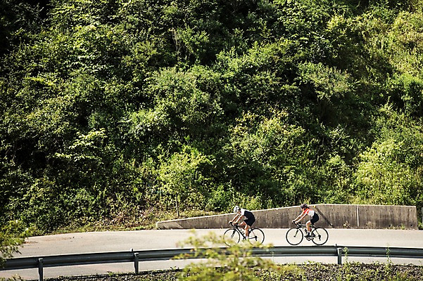 포토 JPG 주간 여자 남자 도로 20대 성인 야외 두명 한국인 승차 사이클링 라이딩 로드자전거 성인만 함백산 만항재 국내포토 자연요소 길 교통시설 모션 산 사람 동양인 청년 자전거 육상스포츠 강원도 정선 파일형식