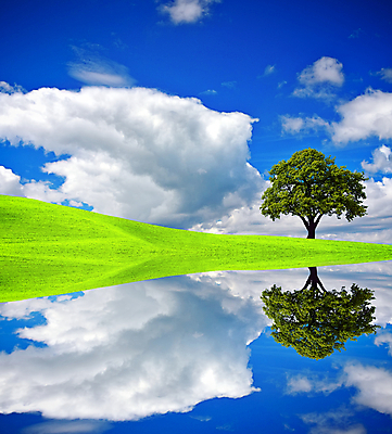 포토 JPG 해외이미지 나무 구름 계절 호수 물결 백그라운드 잎 밭 비즈니스 자연 하늘 날씨 풍경 사람없음 초록색 물 여름 파란색 강 글로벌 반사 환경 행성 시골 분위기 홍수 심볼 무역 상승 돌봄 생태학 존경 해외202004 해외포토 자연요소 식물 교육 산업 컬러 컨셉 농업 모션 우주 자연재해 생태계 파일형식 이미지허브