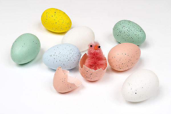 포토 JPG 해외이미지 동물 전통 계절 행복 음식 백그라운드 자연 조류 휴가 부활절 병아리 사람없음 장식 초록색 컬러풀 농장 노란색 치킨 봄 흰색 축하 아기 신생아 달콤 작음 4월 심볼 깃털 부활절계란 부드러움 솜털 고립 암탉 해외202004 해외포토 기념일 감정 컬러 컨셉 농업 사람 계란 닭 감각 날짜 맛 크기 암컷 생태계 닭고기요리 파일형식 이미지허브