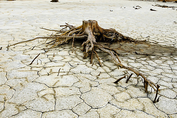 포토 JPG 해외이미지 지구 자연 표면 건조 사람없음 글로벌 환경 회색 황무지 땅 부식 뿌리 진흙 가뭄 땅바닥 재앙 해외202004 해외포토 컬러 날씨 바닥 생태계 파일형식 이미지허브
