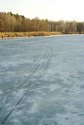 포토 JPG 해외이미지 나무 계절 호수 여행 백그라운드 겨울 자연 하늘 풍경 사람없음 야외 물 파란색 태양 냉동 얼음 침묵 추위 흰색 나뭇가지 개울 황무지 숲 시원함 서리 장면 지역 북쪽 1월 추적 해외202004 해외포토 자연요소 식물 컬러 모션 강 소리 날짜 방향 생태계 파일형식 이미지허브