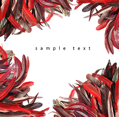 포토 JPG 해외이미지 동물 디자인 남자 야생동물 백그라운드 패턴 자연 조류 미술 사람없음 장식 초록색 빛 컬러풀 노란색 치킨 흰색 우아함 공작 깃털 오브젝트 질감 꼬리 솜털 수탉 고립 이국적 해외202004 해외포토 컬러 컨셉 무늬 문화예술 사람 닭 수컷 생태계 닭고기요리 파일형식 이미지허브