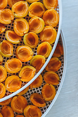 포토 JPG 해외이미지 스튜디오촬영 실내 사람없음 아웃포커스 흰배경 건과일 건조기 살구 해외202004 해외포토 백그라운드 과일 건조 촬영기법 내부 기계 흰색 파일형식 이미지허브