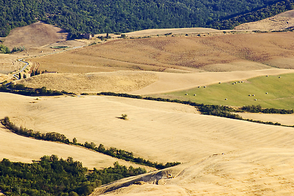 포토 JPG 해외이미지 나무 식물 계절 밭 자연 파노라마 그림자 풍경 사람없음 초록색 여름 빛 농장 농경지 환경 일몰 이탈리아 수확 시골 황금 숲 신비 언덕 웨이브 장면 토스카나 목가 해외202004 해외포토 유럽 컬러 컨셉 농업 촬영기법 노을 생태계 파일형식 이미지허브