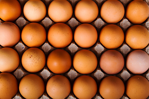 포토 JPG 해외이미지 종이 음료 음식 건강 사람없음 상자 갈색 계란 흰색 신선 그룹 큼 유기농 날것 고립 줄서기 해외202004 해외포토 웰빙 컬러 모션 알 크기 파일형식 이미지허브