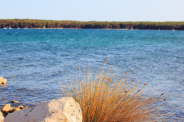 포토 JPG 해외이미지 파도 바다 섬 여행 하늘색 자연 하늘 휴가 풍경 해변 사람없음 야외 물 여름 파란색 빛 만 서핑 황무지 크리스탈 지중해 장면 크로아티아 해외202004 해외포토 자연요소 계절 유럽 컬러 수상스포츠 광석 생태계 파일형식 이미지허브