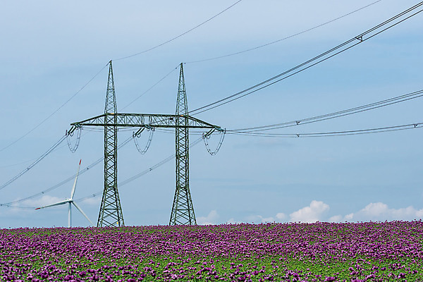 포토 JPG 해외이미지 식물 계절 꽃잎 꽃 산업 선 꽃무늬 밭 농업 자연 하늘 씨앗 풍경 사람없음 초록색 파란색 컬러풀 환경 탑 보라색 힘 봄 장비 에너지 벚꽃 개화 제비꽃 철사 볼트 양귀비 봉 철탑 분배 전압 해외202004 해외포토 건축물 컬러 무늬 공구 생태계 파일형식 이미지허브