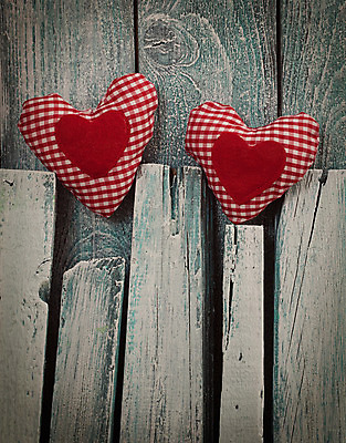 포토 JPG 해외이미지 모양 디자인 꽃 리본 결혼 백그라운드 2 데이트 추상 휴가 기념 발렌타인데이 선물 사랑 사람없음 목재 장식 빨간색 파란색 우주 놀람 수확 골동품 흰색 하트 마음 시골 축하 신용카드 메시지 작음 편지 심볼 주기 질감 복고 핸드메이드 해외202004 해외포토 나무 식물 감정 컬러 컨셉 무늬 농업 재료 모션 데이이벤트 표정 이벤트 금융 크기 파일형식 이미지허브