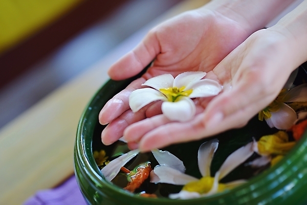 포토 JPG 해외이미지 손 꽃 들기 신체부위 물 수건 스파 손모으기 대야 해외포토 자연요소 식물 모션 사람 손짓 위생용품 파일형식 이미지허브