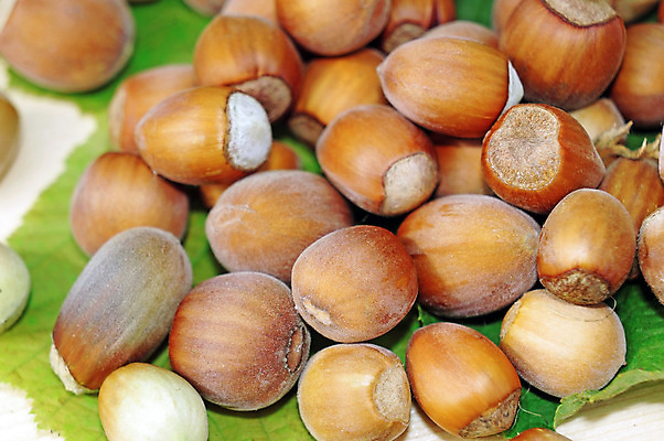 포토 JPG 해외이미지 계절 음식 백그라운드 재료 자연 건조 건강 씨앗 사람없음 갈색 쌓기 견과류 수확 껍질 가을 그룹 먹기 유기농 알맹이 날것 흙더미 내추럴 개암나무 숙성 식용 많음 개암 해외202004 해외포토 나무 식물 웰빙 열매 컬러 컨셉 농업 모션 흙 생태계 파일형식 더미 이미지허브