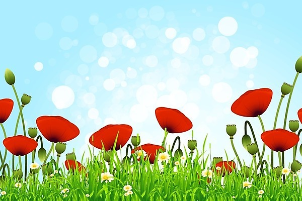 EPS 해외이미지 식물 꽃 일러스트 하늘 사람없음 초록색 여름 활발 들꽃 양귀비 캐모마일 해외202004 해외일러스트 계절 컬러 컨셉 허브 파일형식 벡터 이미지허브