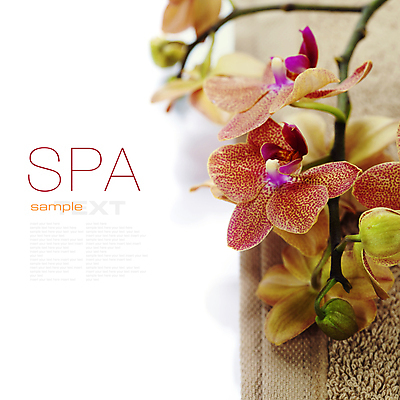 포토 JPG 해외이미지 꽃 사람없음 수건 스파 스파용품 카피스페이스 해외포토 식물 위생용품 공백 오브젝트 파일형식 이미지허브