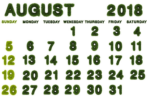 포토 JPG 해외이미지 템플릿 디자인 배너 백그라운드 회사 비즈니스 추상 휴가 새로움 이벤트 사람없음 초록색 사무실 3D 다이어리 달력 시간 일주일 날짜 플랫 5월 연도 심플 일요일 8월 월 2018년 금요일 목요일 수요일 월요일 토요일 화요일 해외202004 해외포토 컬러 컨셉 무늬 사무용품 디지털합성 요일 파일형식 이미지허브