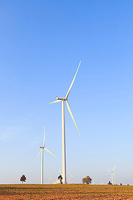 포토 JPG 해외이미지 식물 구름 산업 밭 날개 자연 하늘 바람 풍경 사람없음 초록색 파란색 농장 환경 힘 재활용 풍차 발전기 에너지 흰색 그룹 칼날 보호 프로펠러 자원 세대 유지 방앗간 혁명 개발 생태학 공급 해외202004 해외포토 자연요소 교육 컬러 컨셉 농업 날씨 발전소 친환경 생태계 파일형식 이미지허브