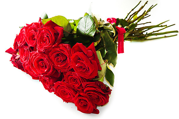 포토 JPG 해외이미지 식물 기념일 꽃잎 꽃 꽃다발 결혼 크리스마스 꽃무늬 자연 휴가 부활절 기념 발렌타인데이 선물 사랑 사람없음 장식 빨간색 컬러풀 장미 정원 보라색 놀람 축하 인사 신용카드 생일 개화 우아함 다발 꽃집 엽서 열정 내추럴 해외202004 해외포토 감정 컬러 컨셉 무늬 데이이벤트 표정 이벤트 금융 상점 예절 편지 생태계 파일형식 이미지허브