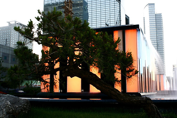 포토 JPG 해외이미지 나무 구름 공원 오렌지 자연 하늘 휴식 서울 한국 사람없음 건물 물 황혼 바위 램프 연못 액체 떨어짐 야간 뿌리기 분수 분재 샤워실 해외202004 해외포토 자연요소 식물 건축물 공공시설 아시아 컨셉 과일 모션 조명 일몰 돌_바위 생태계 샤워시설 파일형식 이미지허브