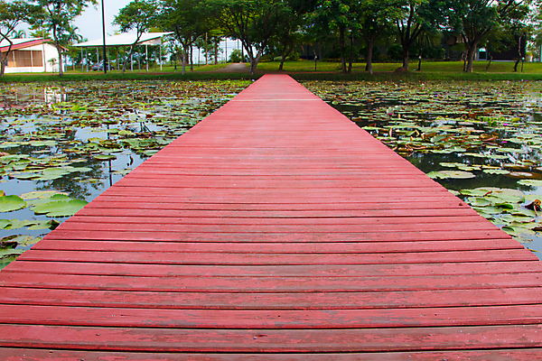 포토 JPG 해외이미지 나무 식물 아시아 길 호수 바다 섬 여행 밭 태국 자연 하늘 휴식 풍경 취미 사람없음 야외 목재 초록색 물 파란색 강 맑음 산책 시골 연못 붓 숲 오솔길 통과 내추럴 방법 어려움 해외202004 해외포토 자연요소 나라 컬러 컨셉 농업 재료 날씨 생태계 파일형식 이미지허브