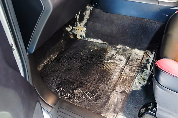 포토 JPG 해외이미지 직업 의자 자동차 실내 사람없음 내부 빛 검은색 얼룩 바퀴 고급 빨래 가죽 서비스 먼지 광택 닦기 청소부 유지 돌봄 왁스 진공 차고 해외202004 해외포토 육상교통 컬러 가구 컨셉 가사 모션 파일형식 이미지허브